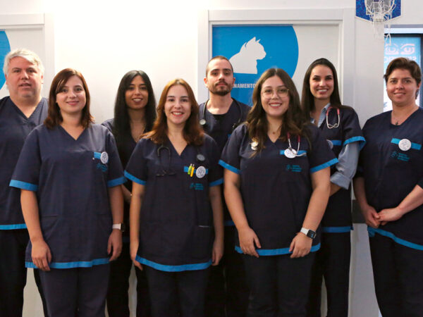 Equipa do Hospital Veterinário de Coimbra